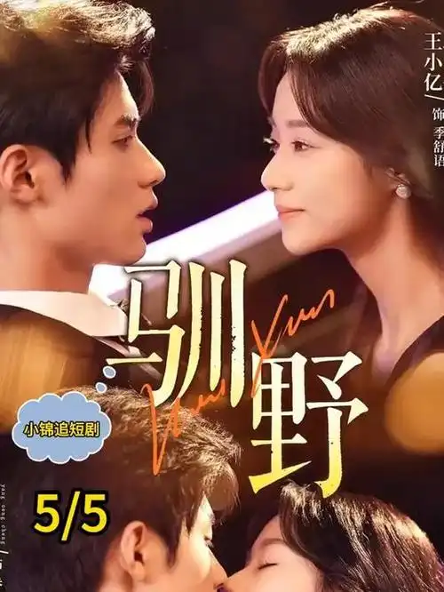 总裁的第九次告白 短剧在线观看